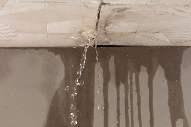 Professional Water Extraction technician working in Triangle, VA